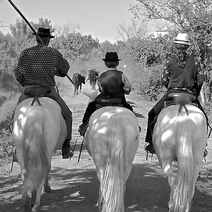 Mas Du Menage En Camargue Manade Clauzel Saintes-Maries-de-la-Mer